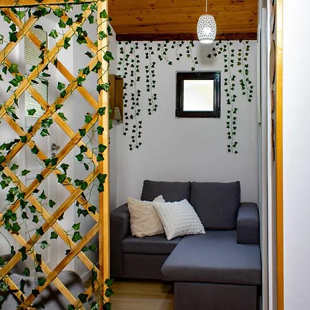 Dos Sonhos Hébergement de vacances Sequeiros (Braga)